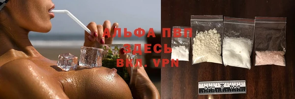 прущие грибы Ступино