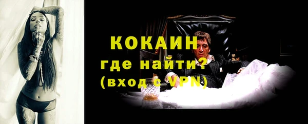 крисы Строитель