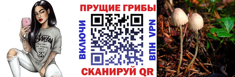 как найти   omg зеркало  Галлюциногенные грибы мухоморы  Ливны 